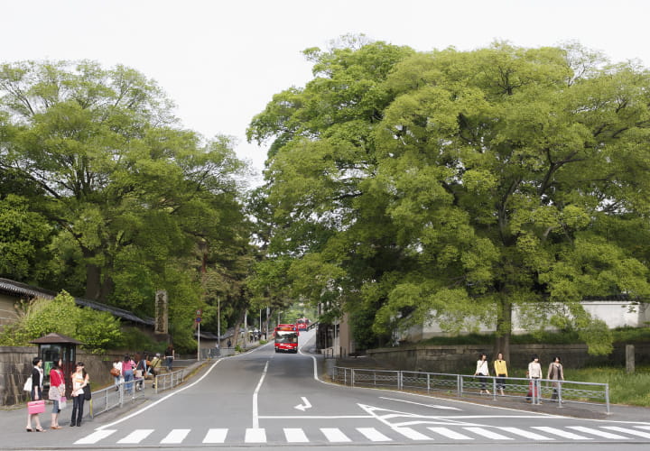 東山七条の交差点から見える女坂の写真
